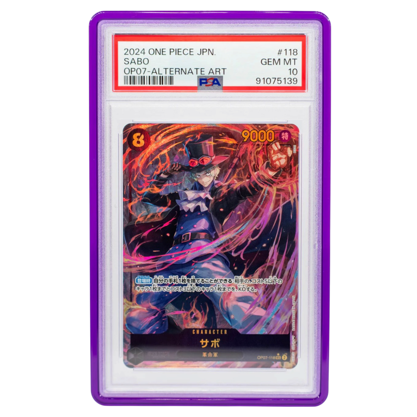 Cardboard Guardian Vanta Case PSA Style - Assorted