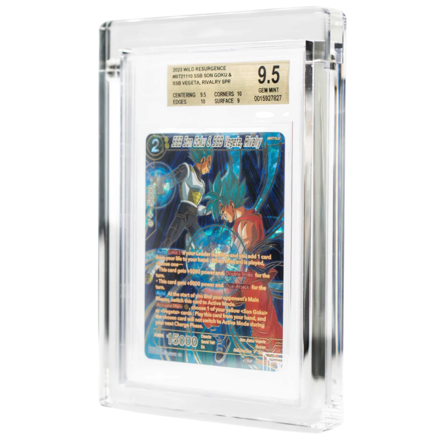 Cardboard Guardian - Guardian Case [ELITE] - Assorted