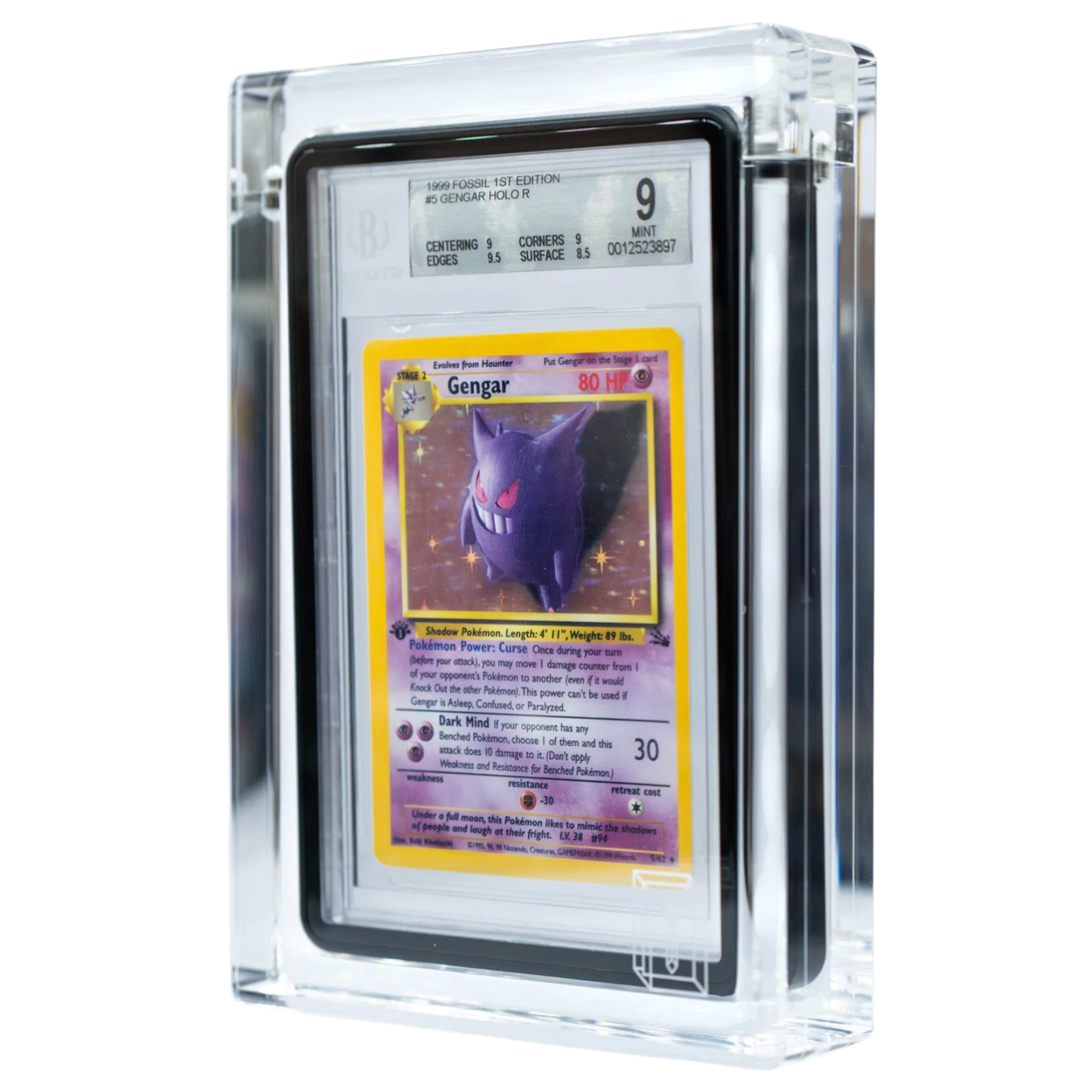 Cardboard Guardian - Guardian Case [ELITE] - Assorted
