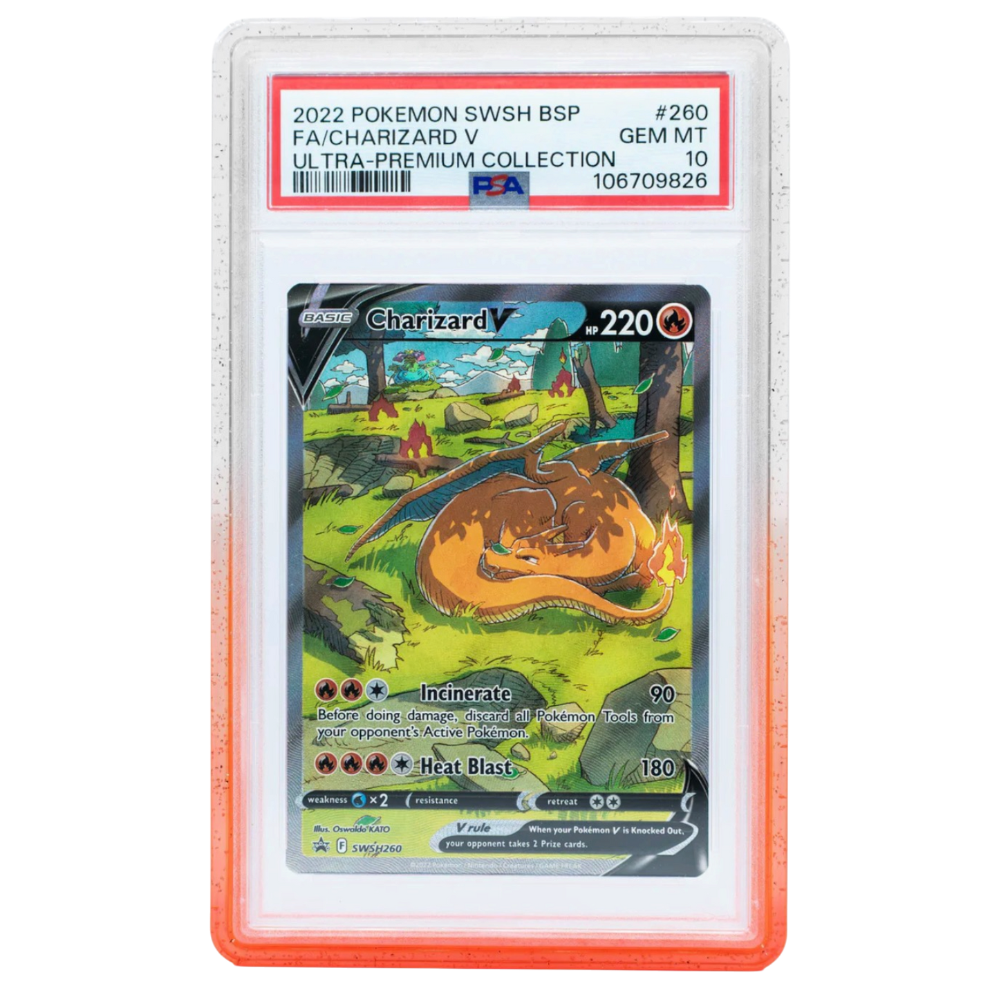 Cardboard Guardian Vanta Case Gradient series - PSA Style - Assorted