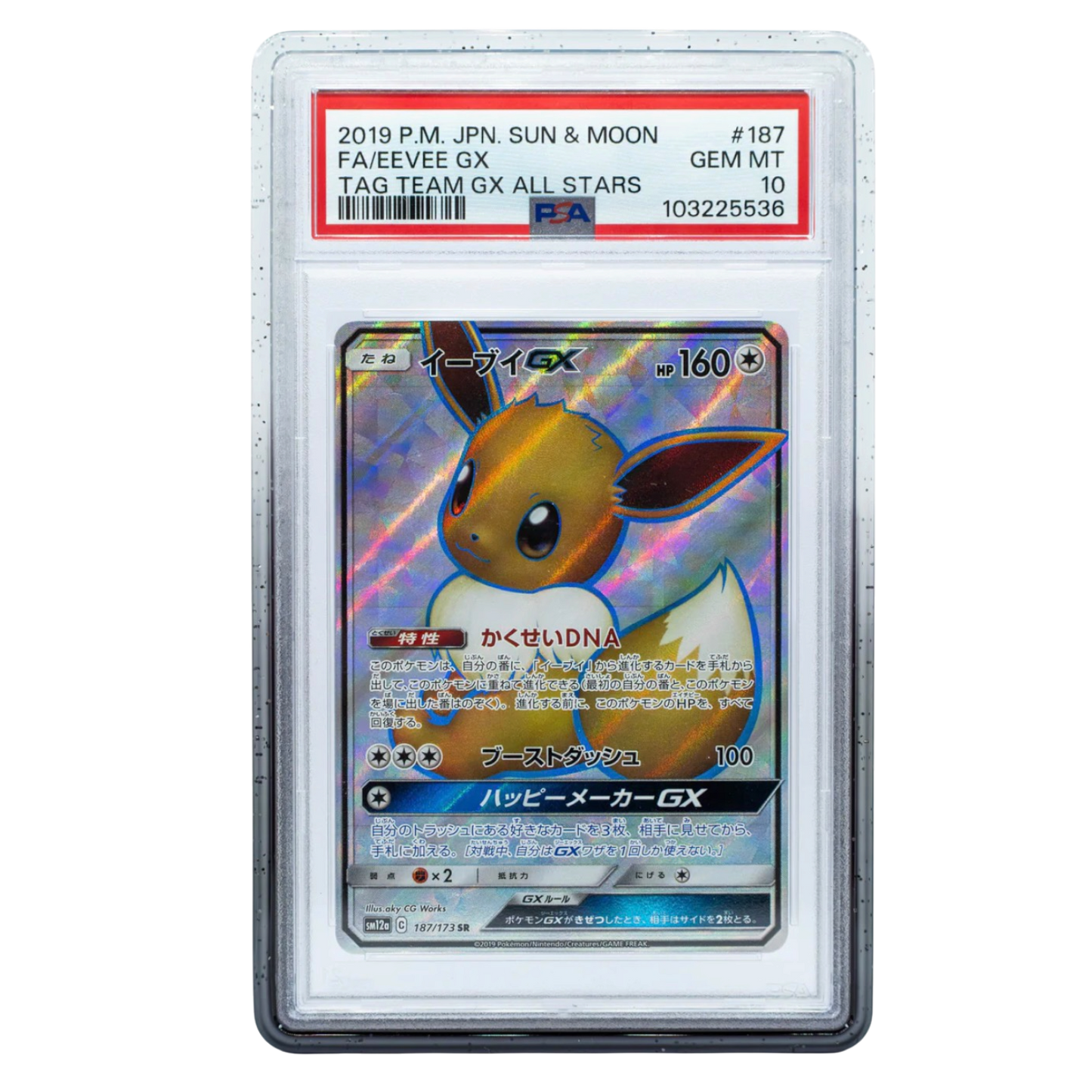 Cardboard Guardian Vanta Case Gradient series - PSA Style - Assorted